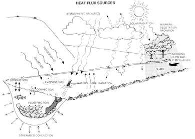 A River Water Temperature Model 