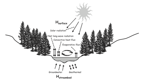 A River Water Temperature Model 