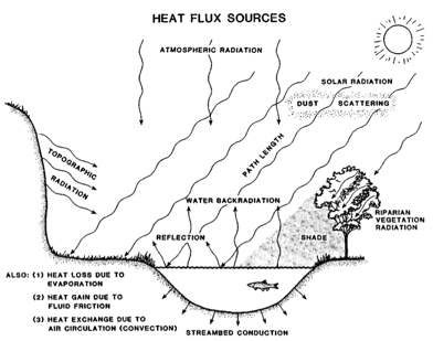 A River Water Temperature Model 